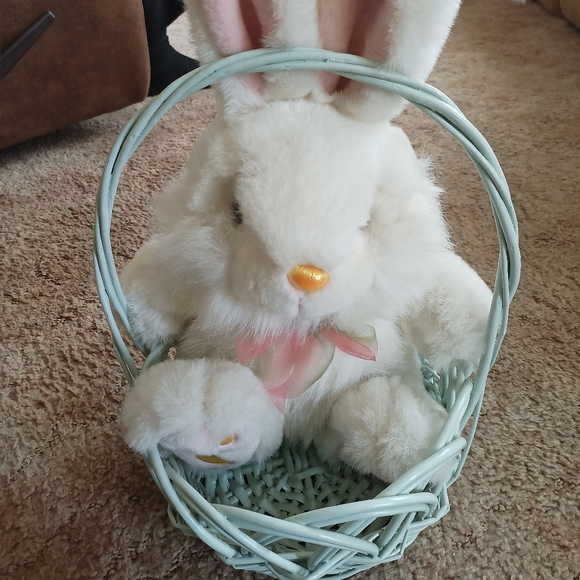LG Easter Basket & Bunny !! - Picture 15 of 16